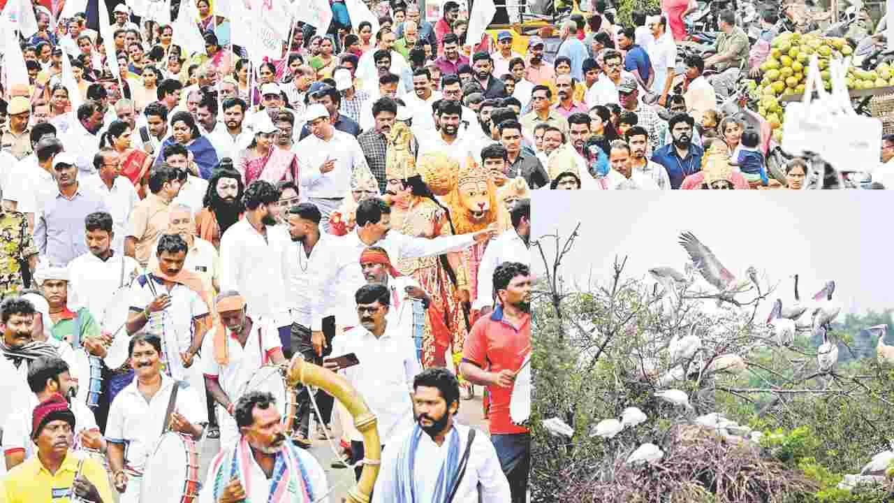Sullurupeta: పక్షుల పండుగ పిలుస్తోంది!