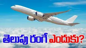 Airplane color reason: విమానాలు ఎక్కువగా తెలుపు రంగులోనే ఉంటాయేంటి.. ఆసక్తికర కారణాలు తెలిస్తే..