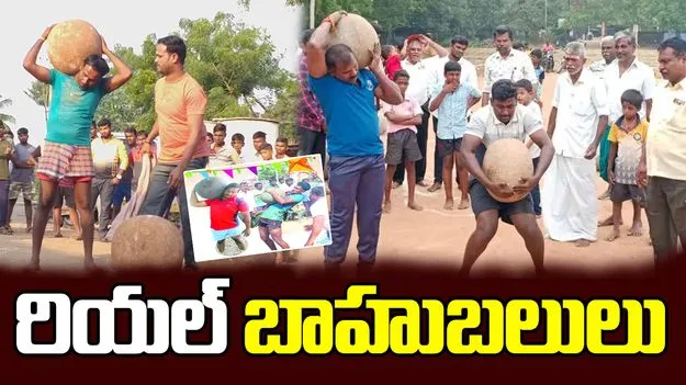 Sankranti festival: వీరు... గ్రామీణ బాహుబలులు...