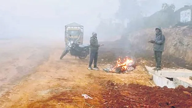 Andhra Pradesh Weather: బంగాళాఖాతంలో వాయుగుండం