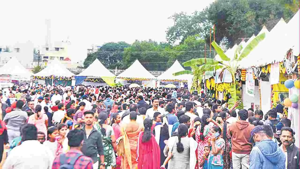 Flamingo Festival: పక్షుల పండుగ.. అదరహో!