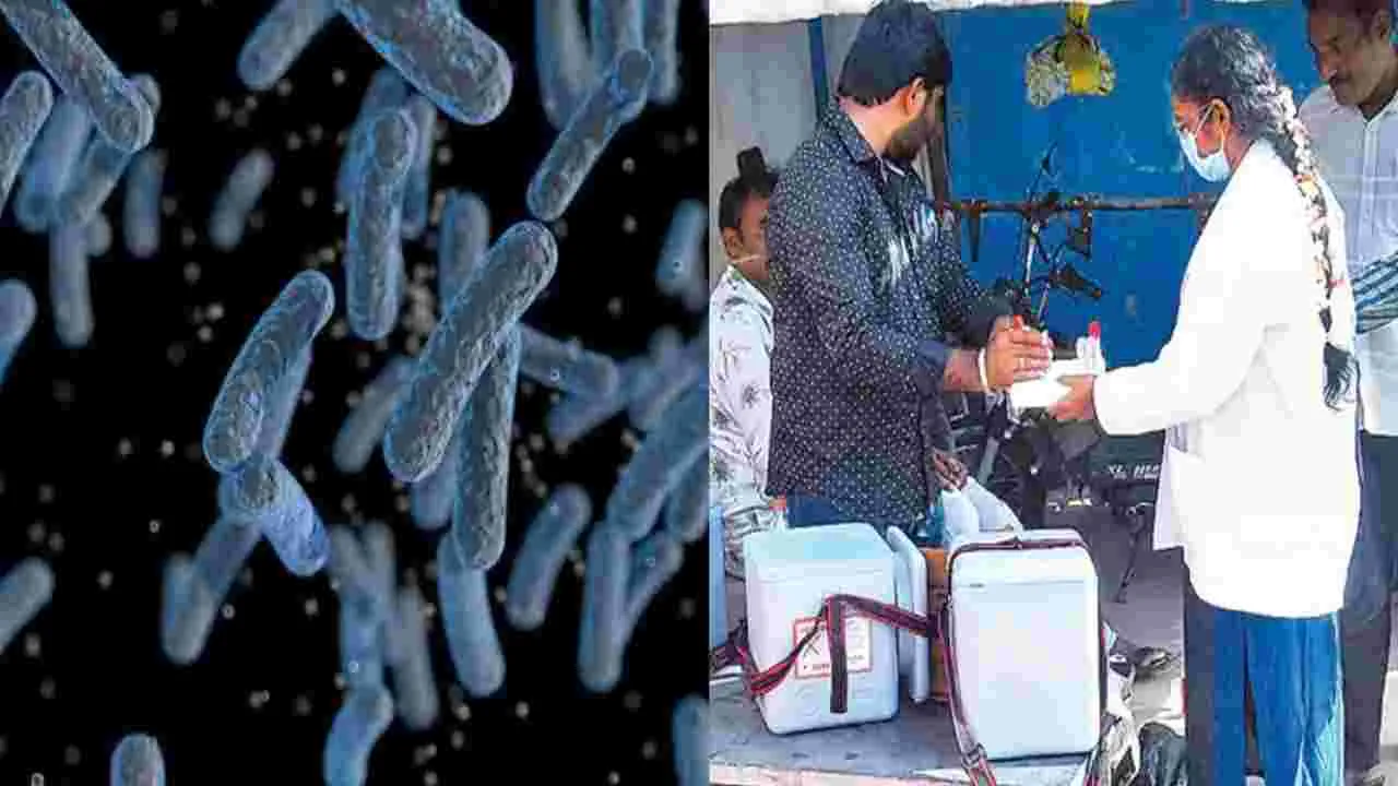 Melioidosis Fever: ‘మెలియోయిడోసిస్‌’లో జన్యు మార్పులు!