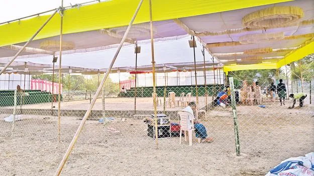 Sankranti Cockfights: పందేలకు సై!