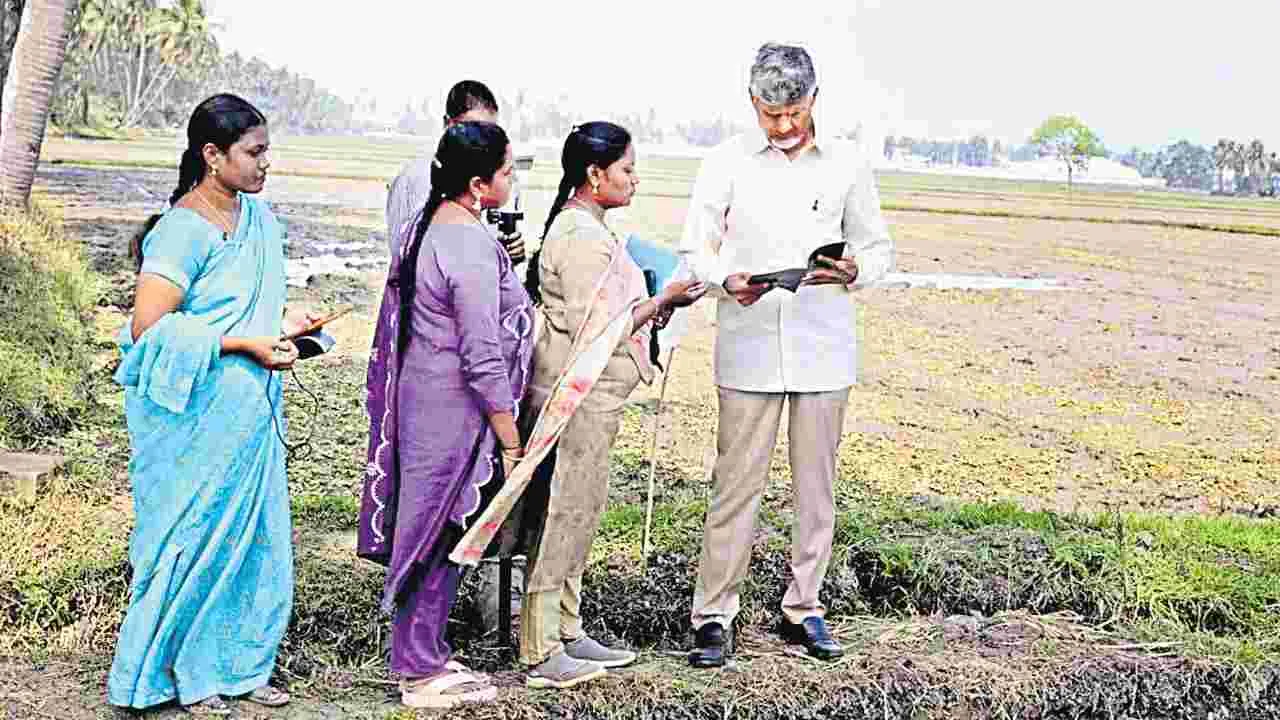 CM Chandrababu: తప్పులు తేల్చేస్తాం!