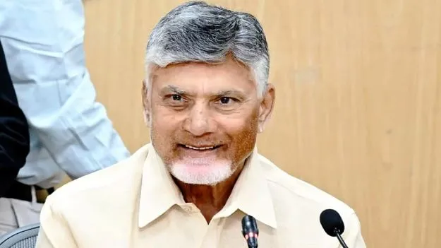 CM Chandrababu: నల్లమలసాగర్‌తో ఎవరికీ నష్టం లేదు