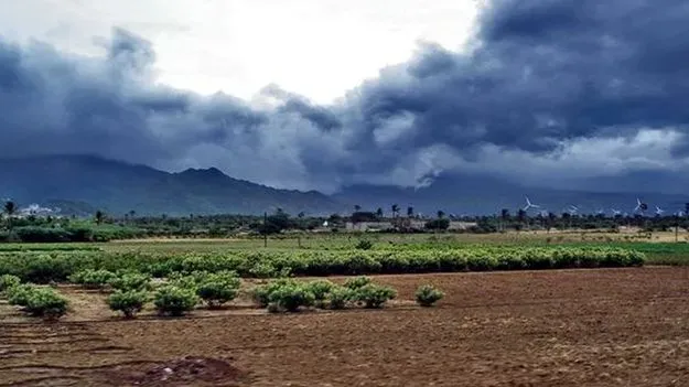 Weather Department: మూడు రోజుల్లో ఈశాన్య రుతుపవనాల నిష్క్రమణ
