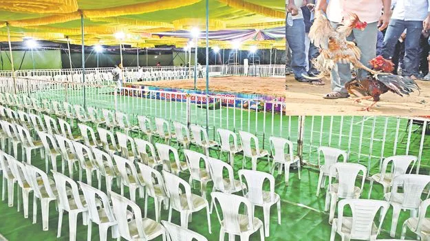AP Cockfighting: కోట్లలో బరిగీసి.. పెద్ద బరికి 3 కోట్ల ఖర్చు..