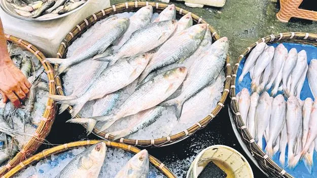 Fisheries Growth: సవాళ్లలోనూ మత్స్య రంగ వృద్ధి!