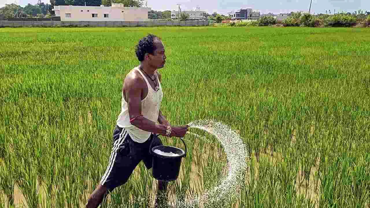 Agriculture Dept: ఎరువులు అధిక ధరలకు అమ్మితే కఠిన చర్యలు