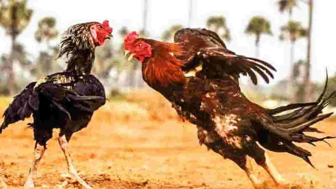 Bhimavaram: హోటల్‌ రూం..3 రోజులకు రూ.లక్ష!