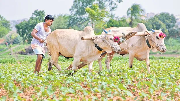 Livestock Insurance: పశు బీమా.. రైతుకు ధీమా