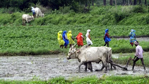 Telangana Govt: సన్నాల బోనస్‌.. మరో 500 కోట్లు 