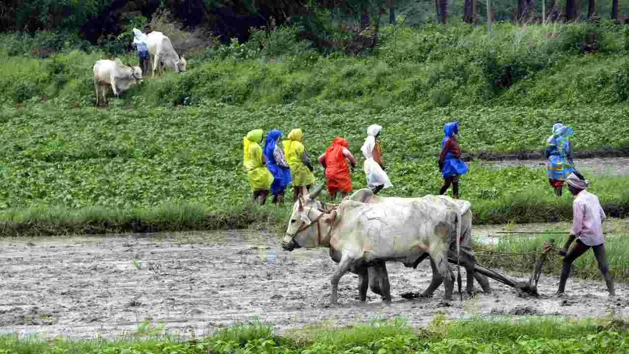 Telangana Govt: సన్నాల బోనస్‌.. మరో 500 కోట్లు
