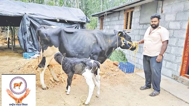 Animal Husbandry: పెయ్యలే పుట్టాలి..!