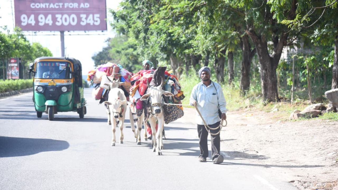 ఒక్క చూపుతోనే మైమరిపించే ఆసక్తికర చిత్రాలు