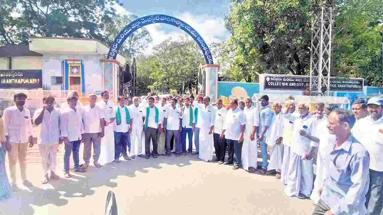 జొన్న, మొక్కజొన్న కొనుగోలు చేయాలి