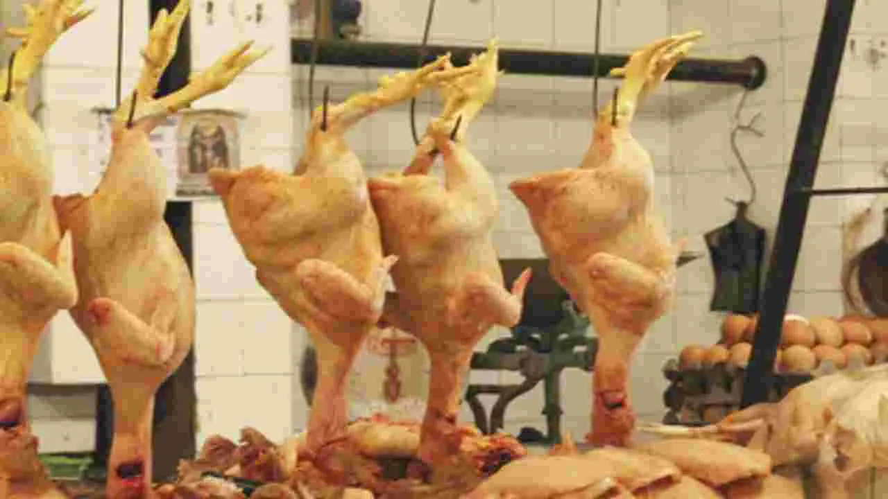 AP News: చికెన్‌ హై.. రొయ్య డౌన్‌