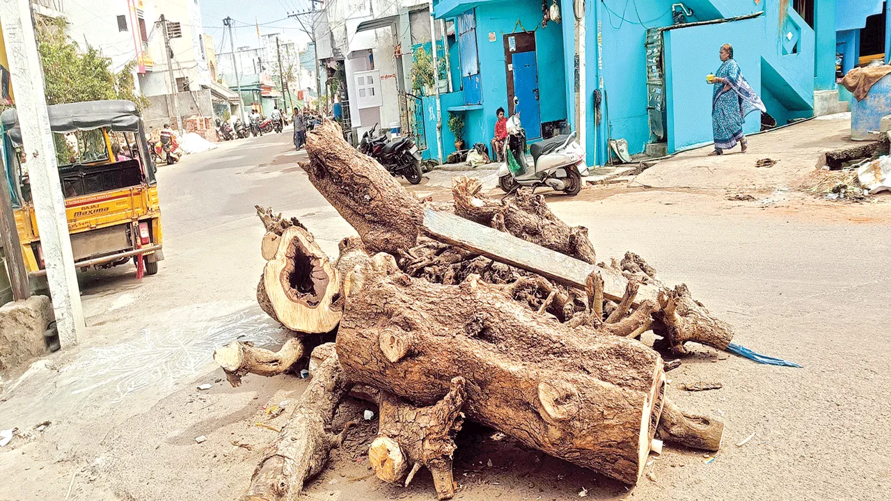 Bhogi   సాలూరులో ముందు రోజే భోగి మంటలు