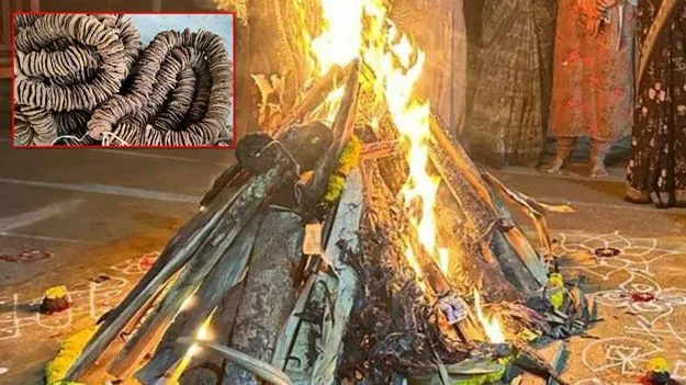 Bhogi Celebrations: భోగి వేడుకల్లో హైలెట్‌గా నిలిచిన భారీ భోగి దండ