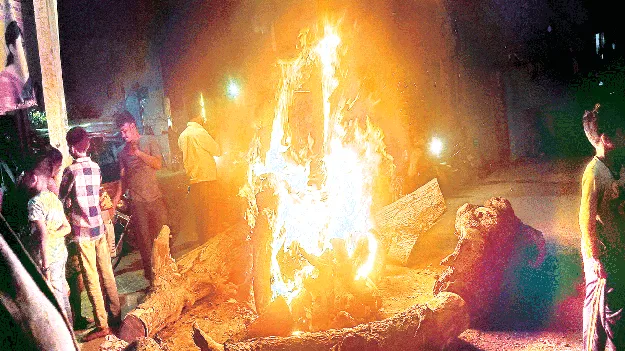 Sankranti Festivities  సంక్రాంతి సందడి 