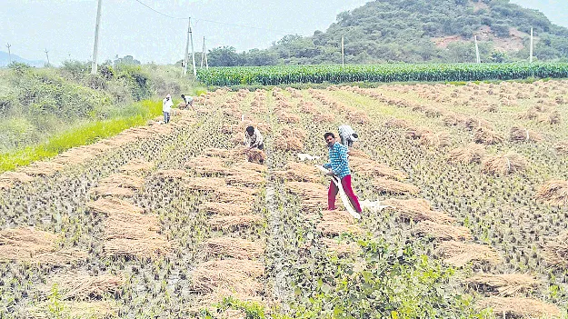 వాయు‘గండం