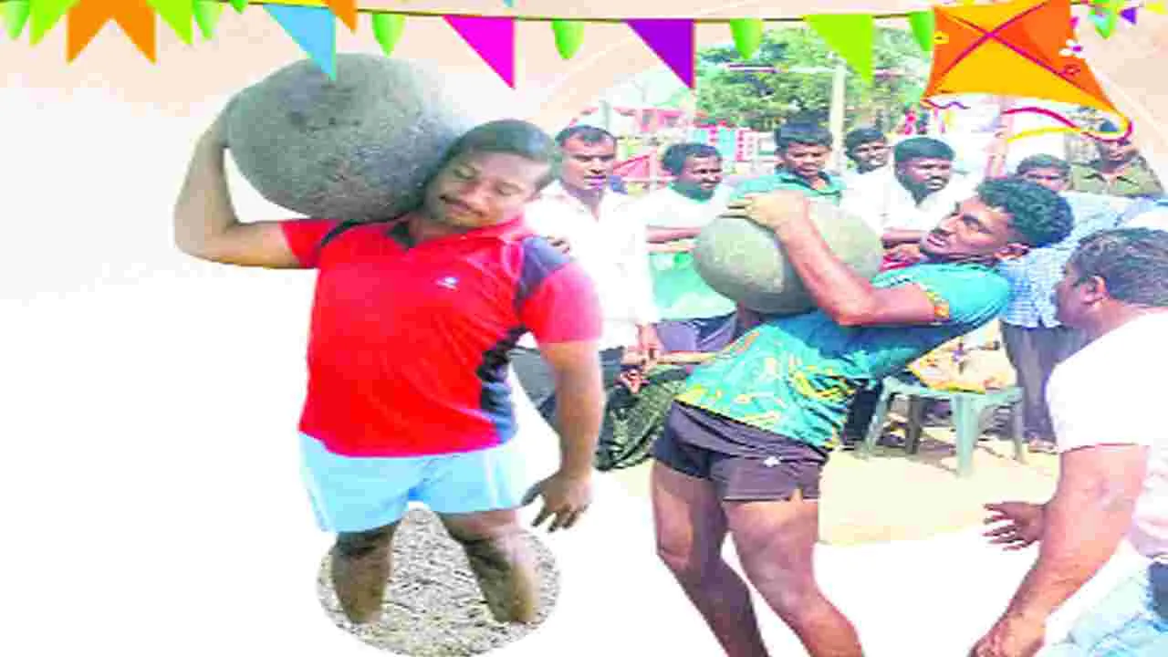 Sankranti festival: వీరు... గ్రామీణ బాహుబలులు...