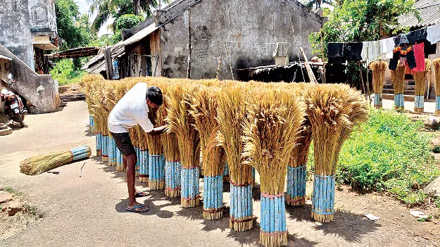 Increase in Support Price  అటవీ ఉత్పత్తుల మద్దతు ధర పెంపు