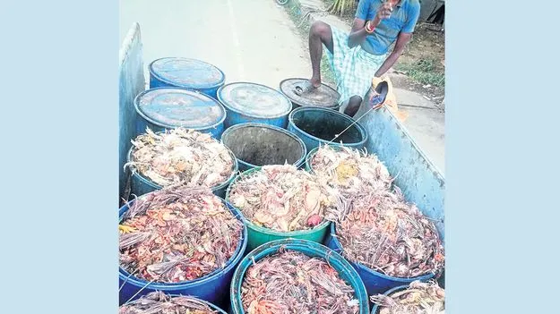 జీవీఎంసీలో త్రిమూర్తుల దందా!