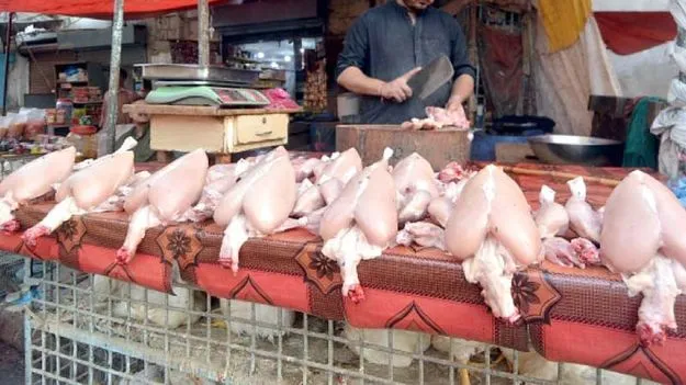 Chicken: నాన్‌ వెజ్‌ ప్రియులకు కష్టకాలం.. కొండెక్కిన కోడిమాంసం