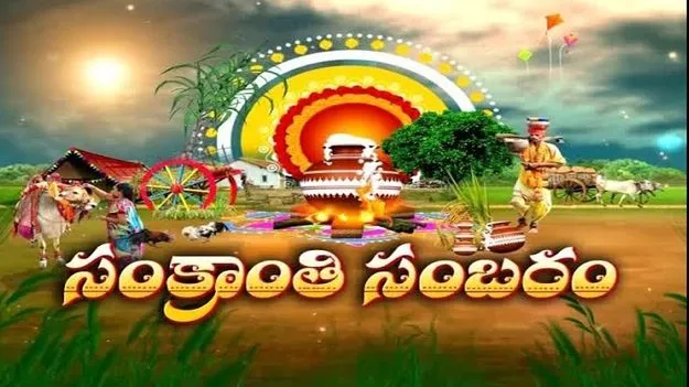 Sankranthi celebrations: ఇంటింటా సంక్రాంతి.. ఎటుచూసినా సందడే సందడి