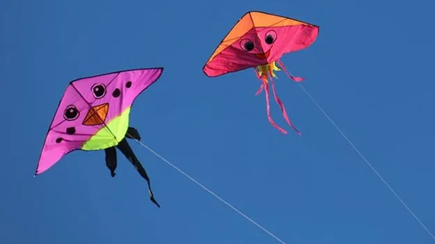 Sankranti festival: గాలిపటమా.. పద పద..