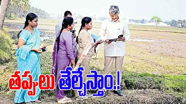 CM Chandrababu: సీఎం చంద్రబాబు పొలంబాట.. రీసర్వే, సమస్యలపై ప్రత్యేక దృష్టి..