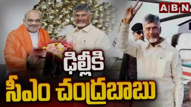 Chandrababu Delhi: ఢిల్లీకి సీఎం చంద్రబాబు.. అమిత్ షాతో డిన్నర్ మీటింగ్