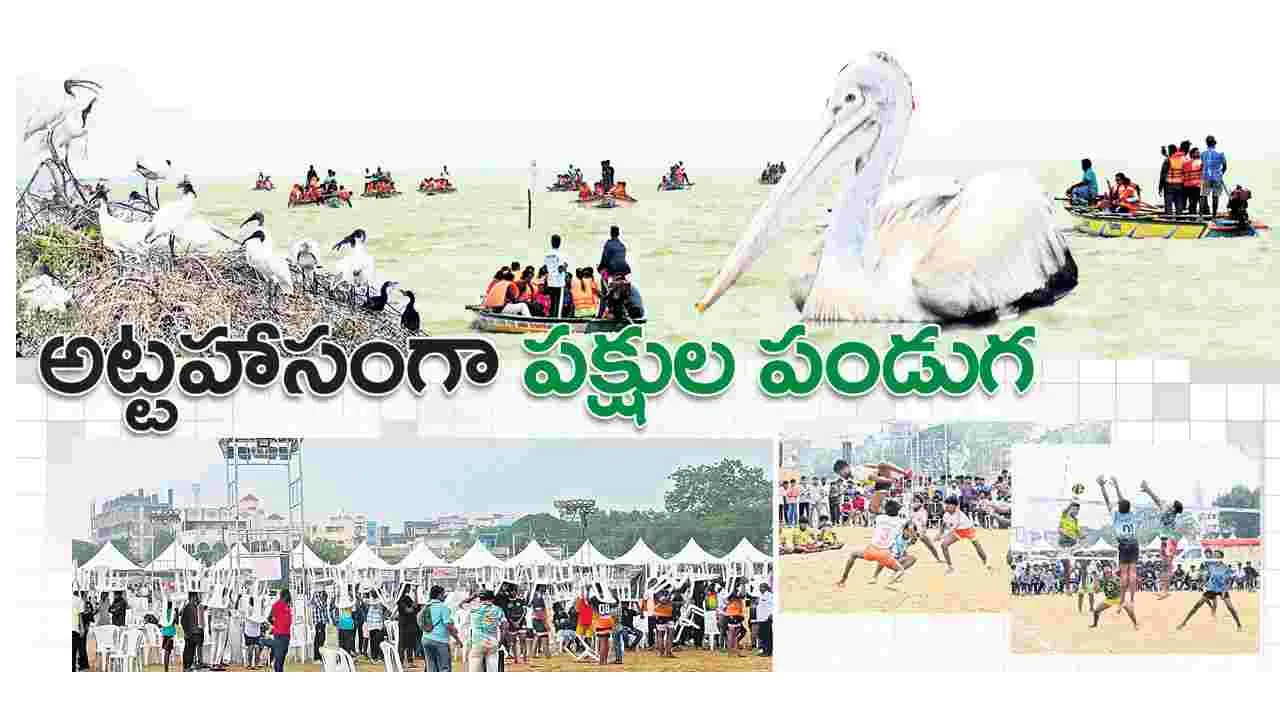 Birds Festival: అట్టహాసంగా పక్షుల పండుగ