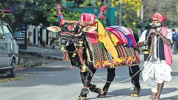 TG News: బసవన్నలే నేస్తాలు.. బతుకంతా కష్టాలు 