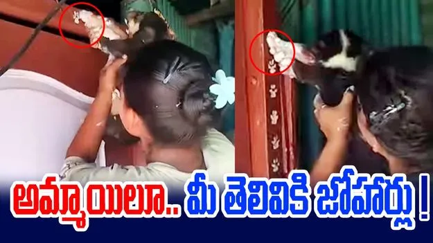 Viral Video: వార్నీ.. కుక్కపిల్లను ఇలా కూడా వాడతారా.. వైరల్ వీడియో