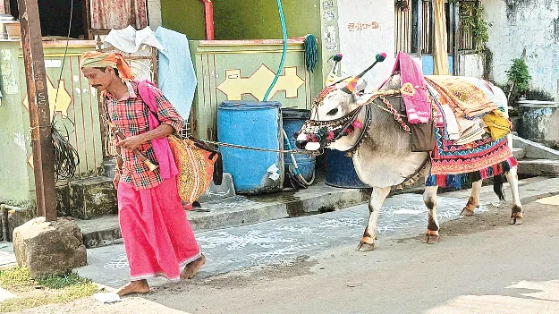 Festive Cheer   మన్యానికి పండుగ కళ 