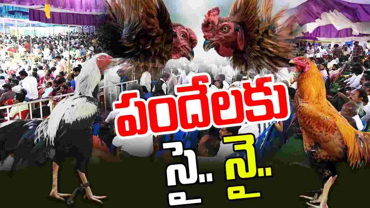 Cockfights: పందేలకు పోలీసులు నో.. అయినా పందెంరాయుళ్లు సై..