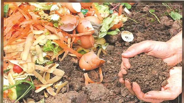 చేద్దామా.. సహజ సేద్యం