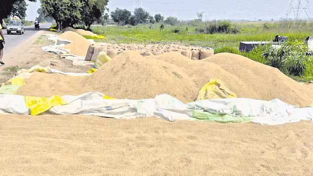 ధాన్యం కొనుగోళ్లు నత్తనడక