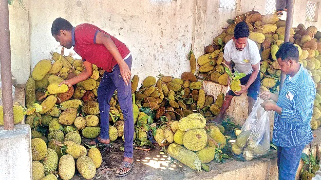  Fair Prices ధర లేక దిగాలు