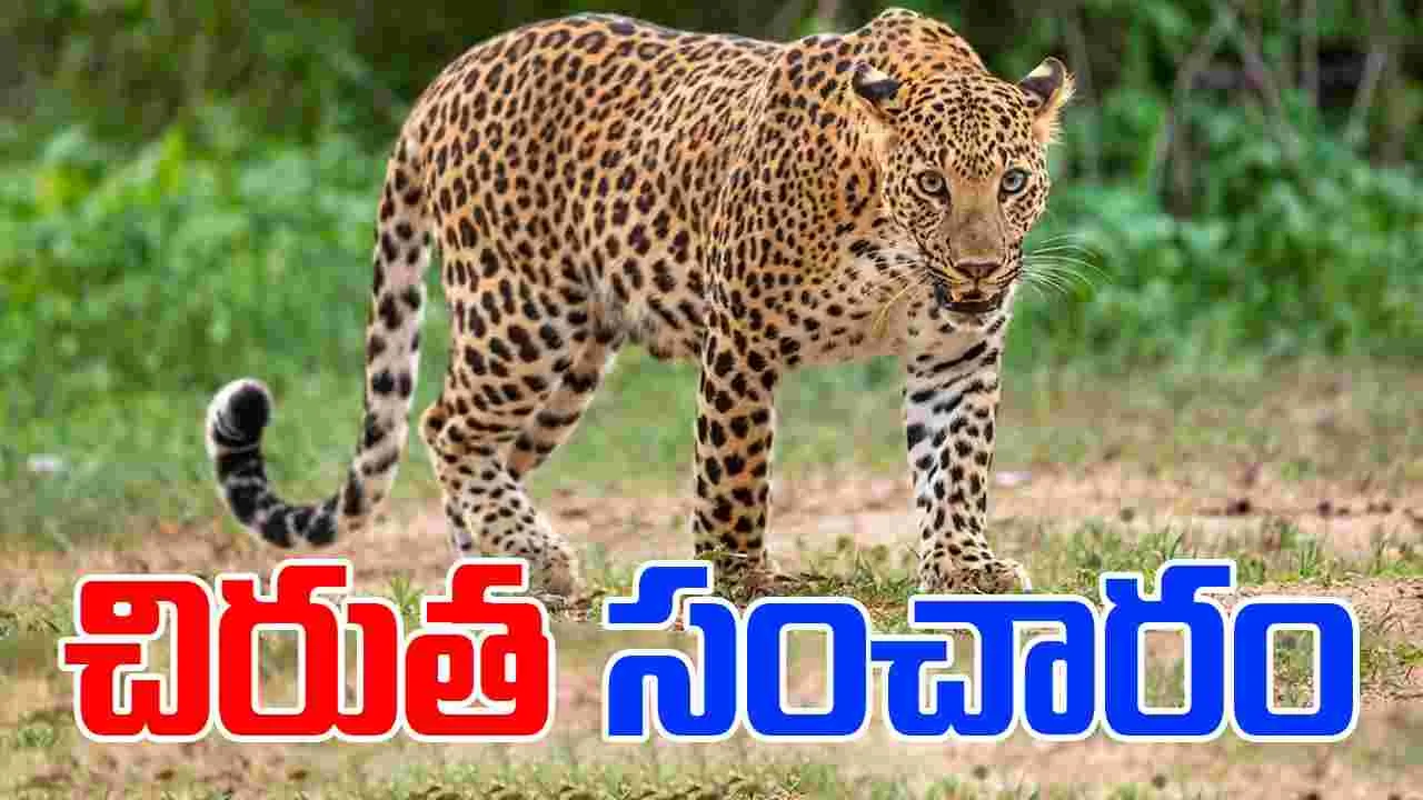 Leopard: ‘అదానీ’ సమీపంలో చిరుత సంచారం