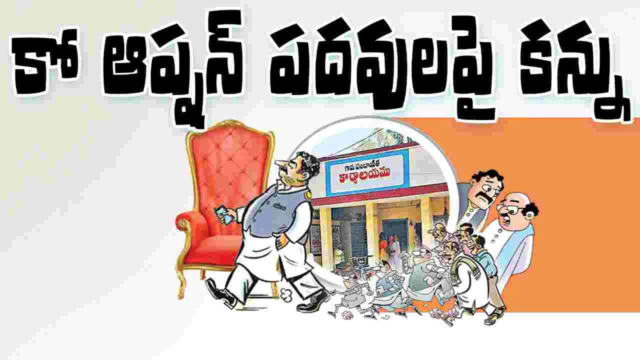 కో ఆప్షన్‌ పదవులపై కన్ను..