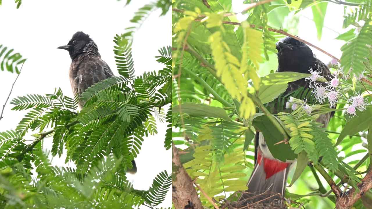 అందమైన ప్రపంచంలో అరుదైన అందాలు