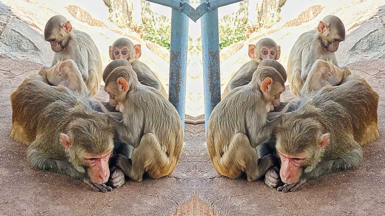 అందమైన ప్రపంచంలో అరుదైన అందాలు