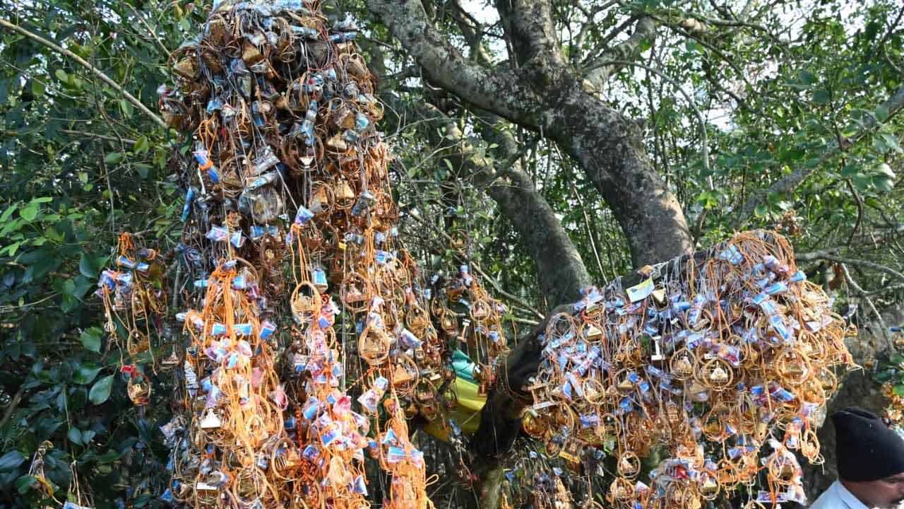 అందమైన ప్రపంచంలో అరుదైన అందాలు