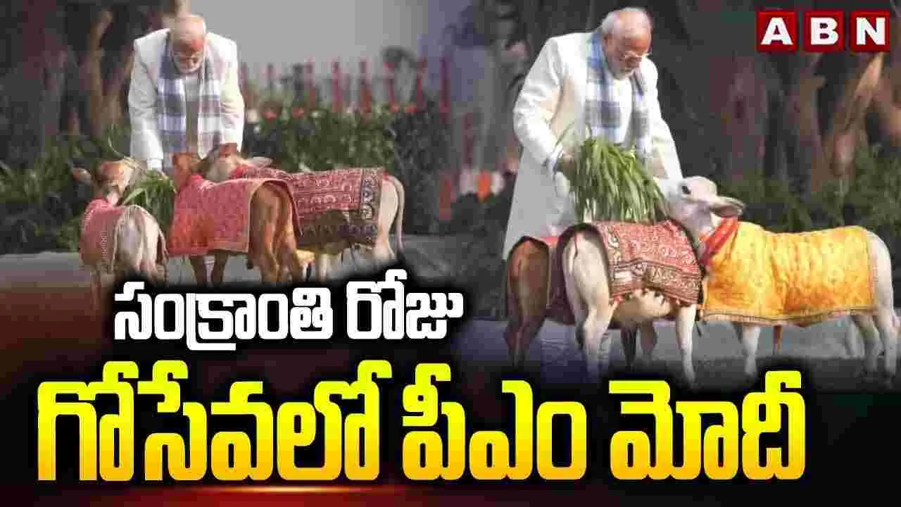 సంక్రాంతి రోజు గోసేవలో పీఎం మోదీ..