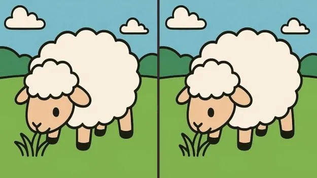 Picture Puzzle: మీ అబ్జర్వేషన్ శక్తిని పరీక్షించుకోండి.. ఈ ఫొటోల్లోని మూడు తేడాలను 40 సెకెన్లలో కనిపెట్టండి