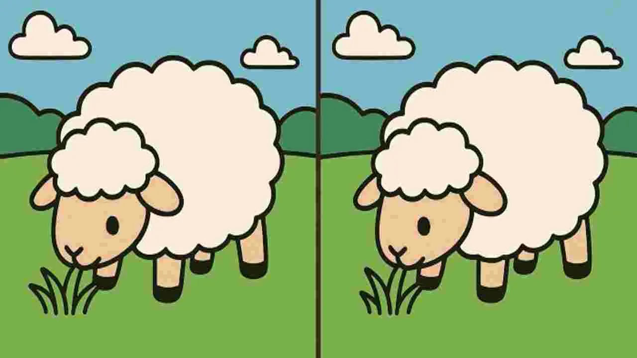 Picture Puzzle: మీ అబ్జర్వేషన్ శక్తిని పరీక్షించుకోండి.. ఈ ఫొటోల్లోని మూడు తేడాలను 40 సెకెన్లలో కనిపెట్టండి