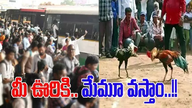 Sankranti Festival Visit: కోడి పందేల కోసం ఏపీ బాటపడుతున్న యువత..